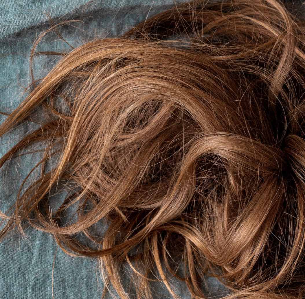corina rainer 0BhtgavNYCk unsplash